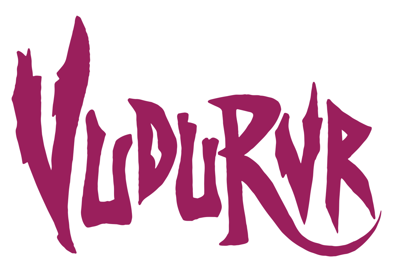 VuDuRvR